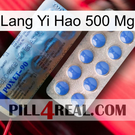 Lang Yi Hao 500 Mg 40